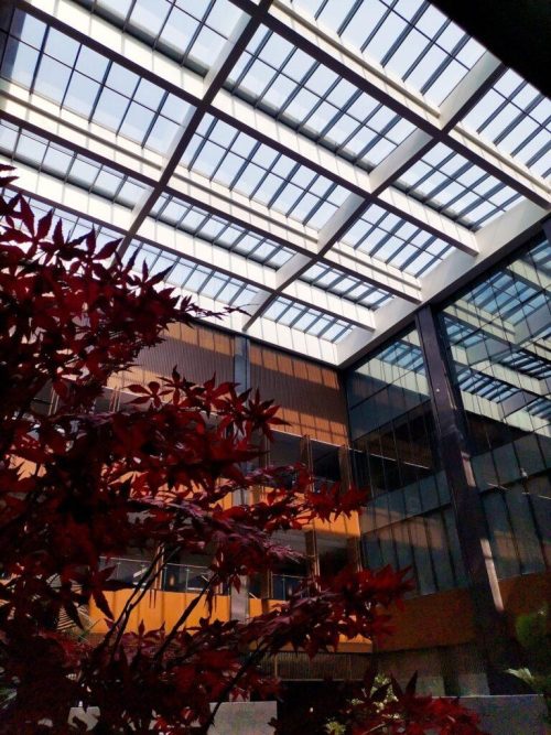 BEN Gglas facade bengsolar isolatieglas dakbeglazing