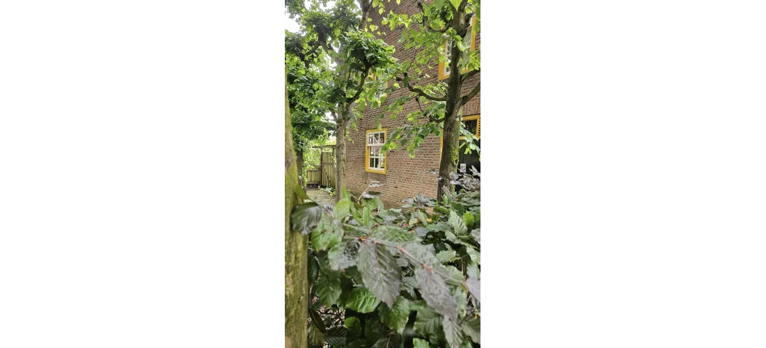 Vacuumglas bengglas isolatieglas2