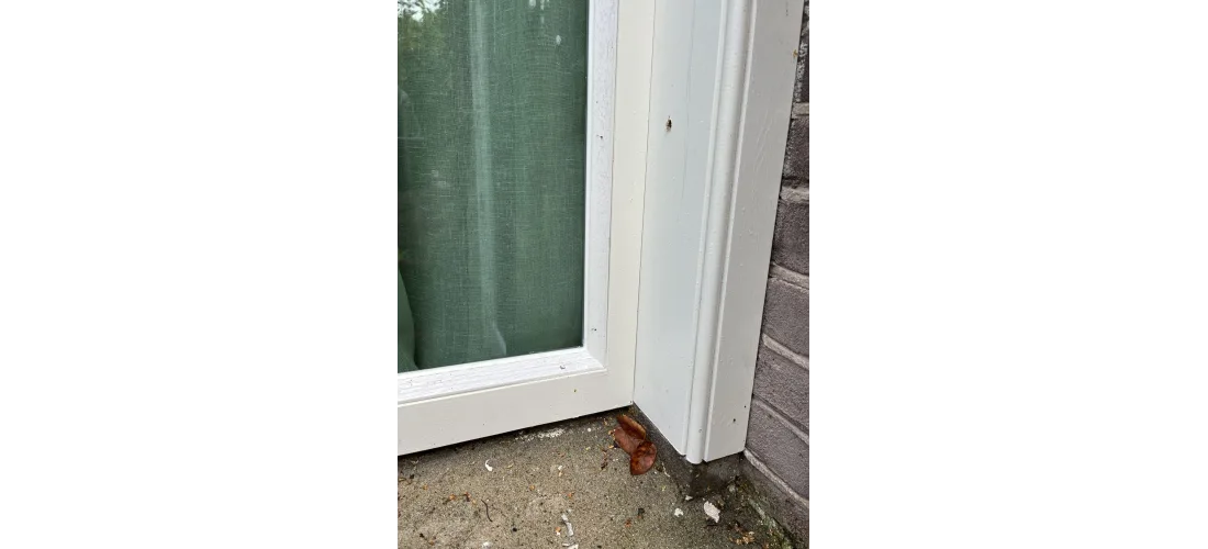 Bengglas donker meppel vacuumglas vacuümglas renovatie isolatieglas 7